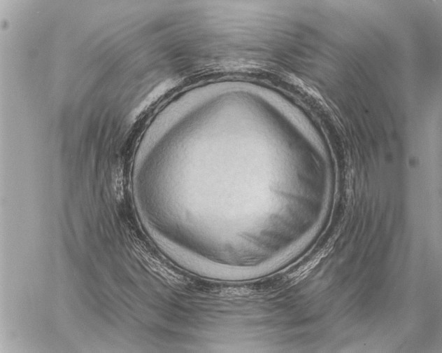 X0000060231306200511181228