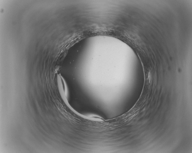 X0000060231348200511181228