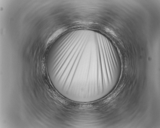 X0000060231354200511181227