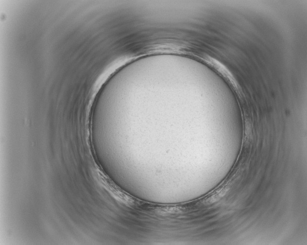 X0000060231435200511181227