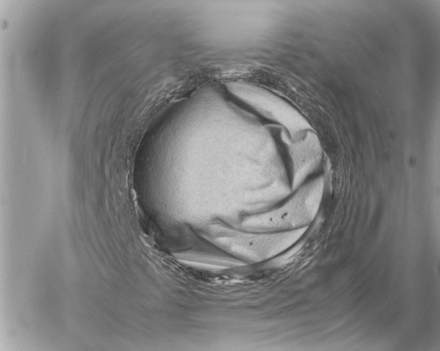 X0000060231441200511181226