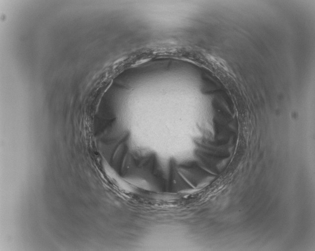 X0000060231445200511181226