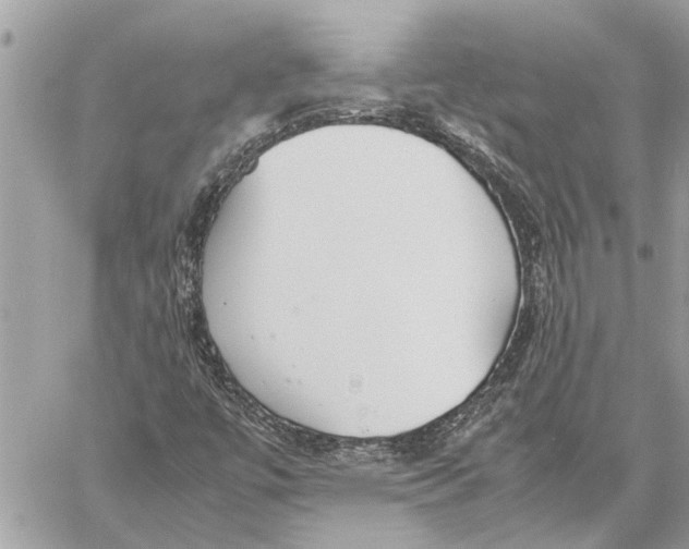 X0000060231447200511181226