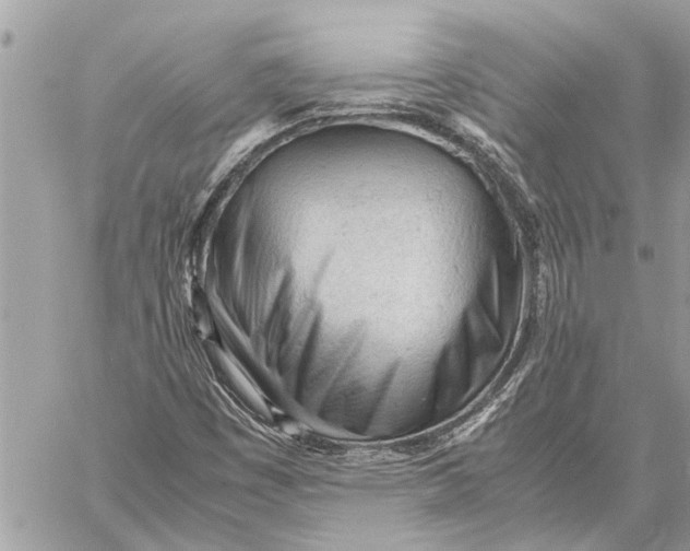 X0000060231449200511181226