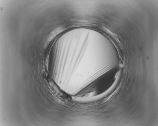 X0000060231453200511181226