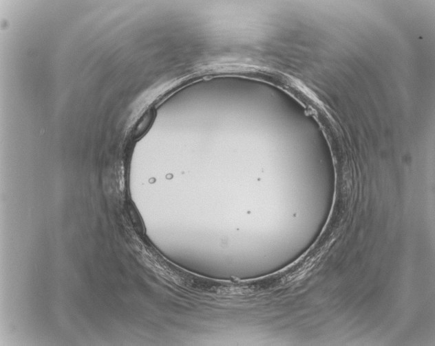 X0000060231461200511181226