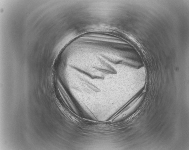 X0000060231463200511181226