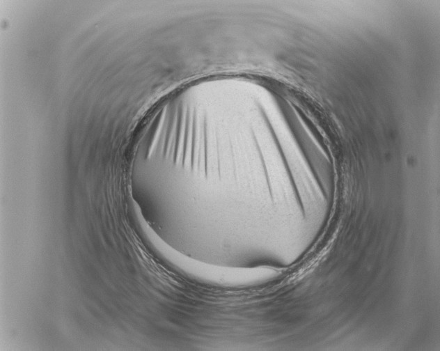 X0000060231497200511181225