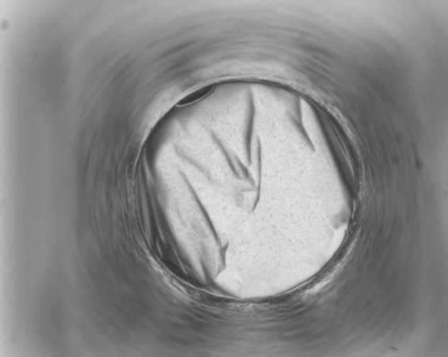 X0000060231529200511181225