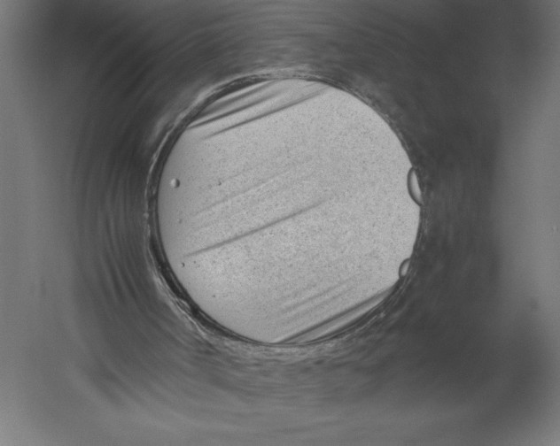 X0000060230002200511241319