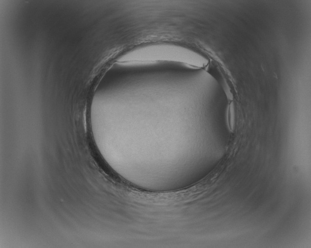 X0000060230019200511241319