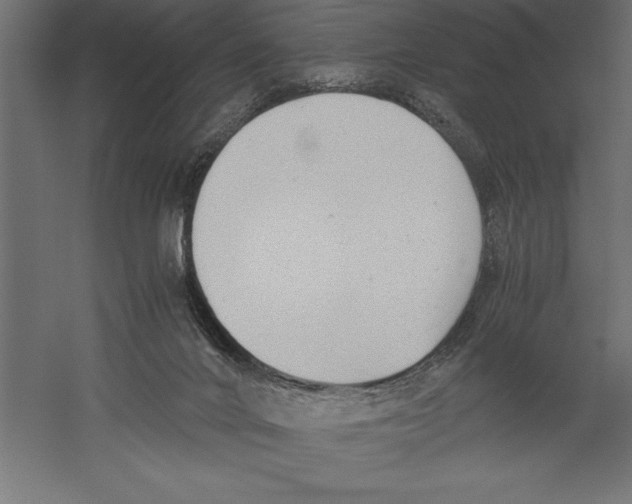 X0000060230024200511241319