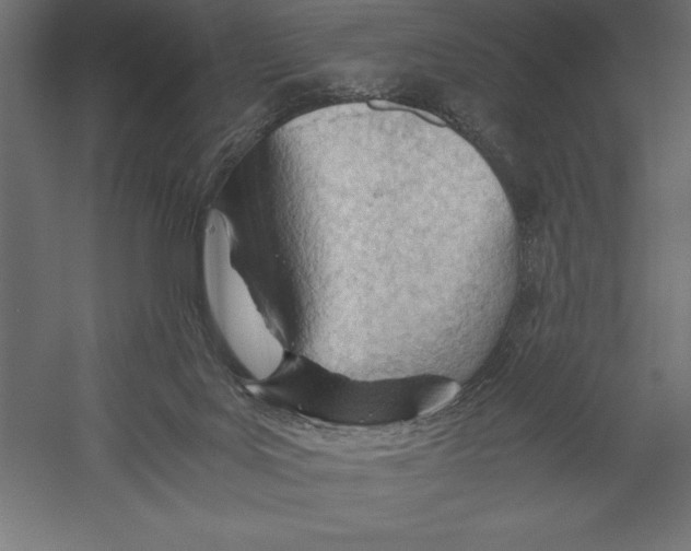 X0000060230027200511241319