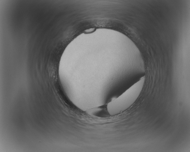 X0000060230031200511241318