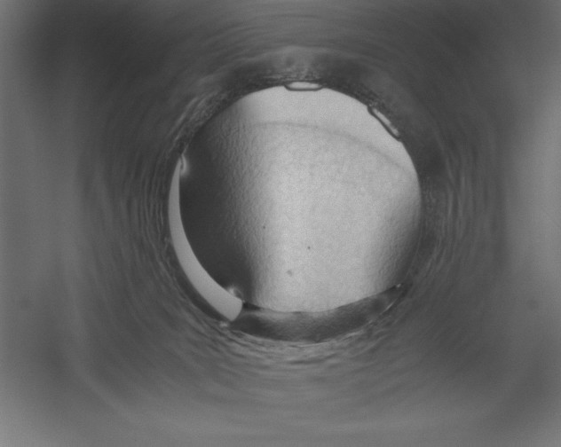 X0000060230035200511241318