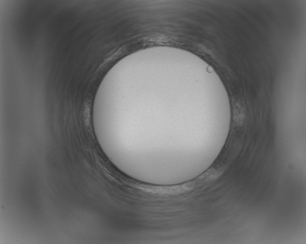 X0000060230036200511241318