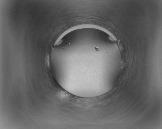 X0000060230041200511241318