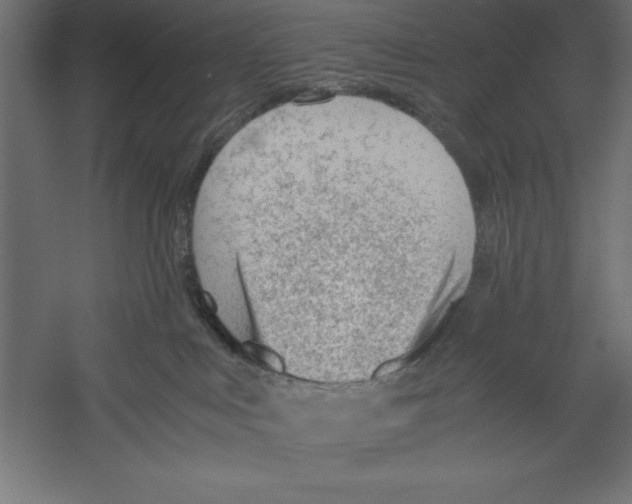 X0000060230043200511241318