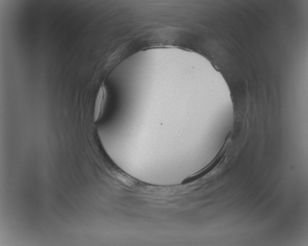 X0000060230045200511241318