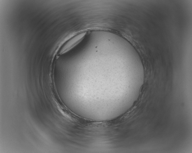 X0000060230050200511241317