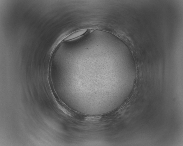 X0000060230051200511241317
