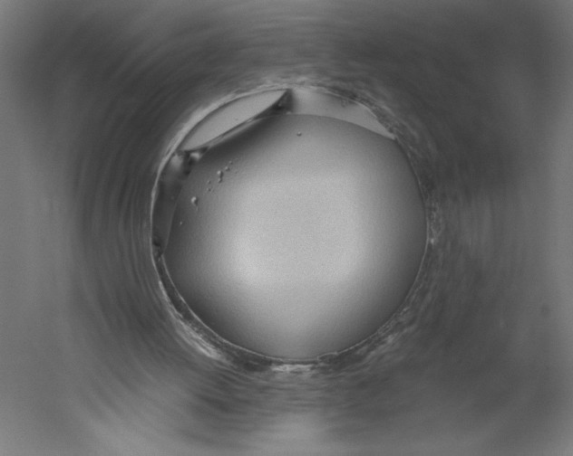 X0000060230052200511241317