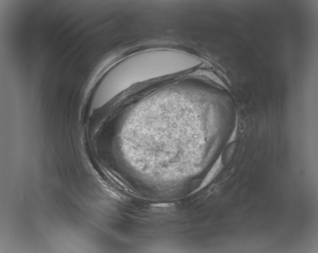 X0000060230053200511241317