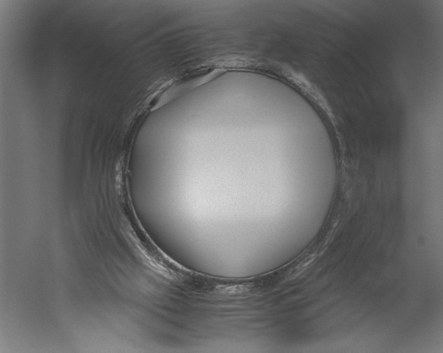 X0000060230057200511241317