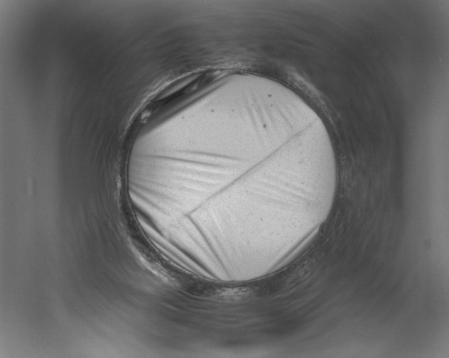 X0000060230059200511241318