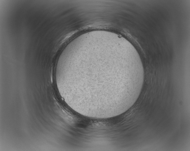 X0000060230062200511241318