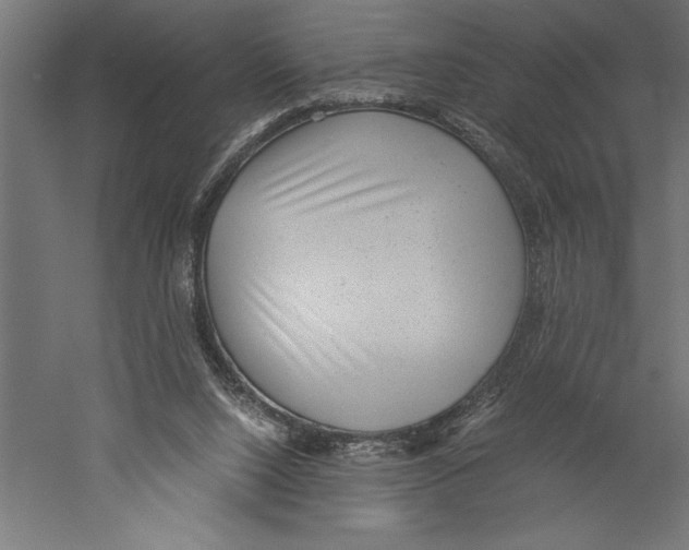 X0000060230064200511241318
