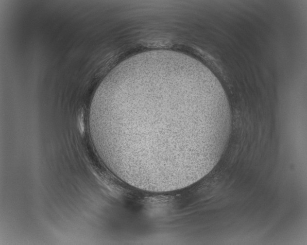 X0000060230069200511241318