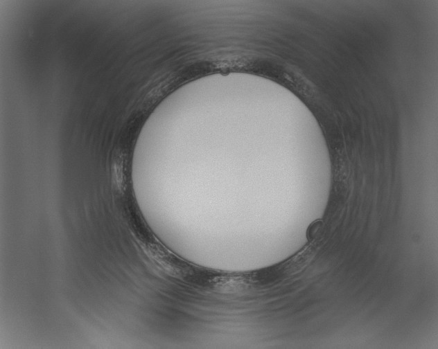 X0000060230074200511241318