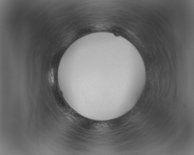 X0000060230075200511241318
