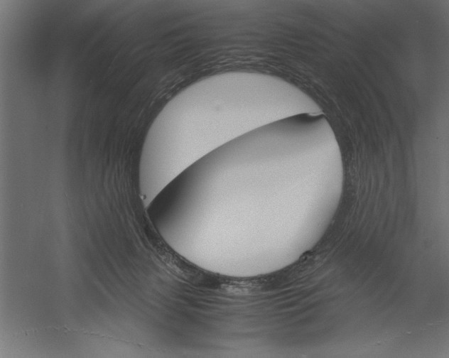 X0000060230079200511241318