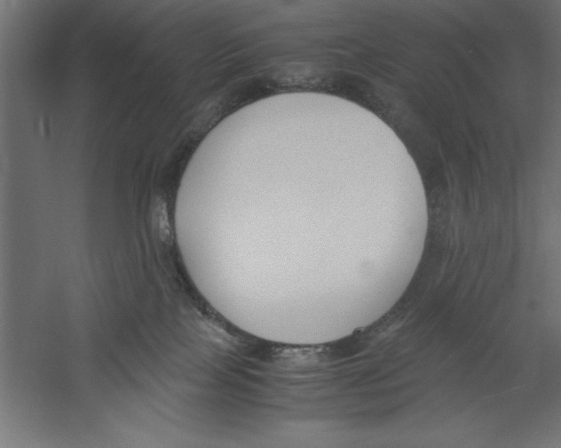 X0000060230089200511241318