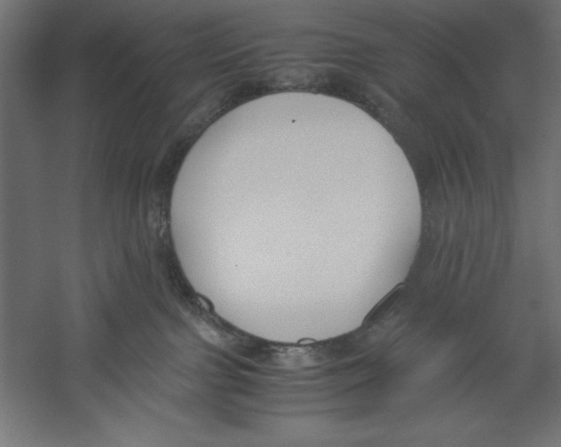 X0000060230091200511241318