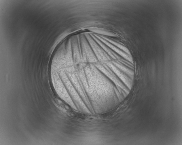 X0000060230099200511241317