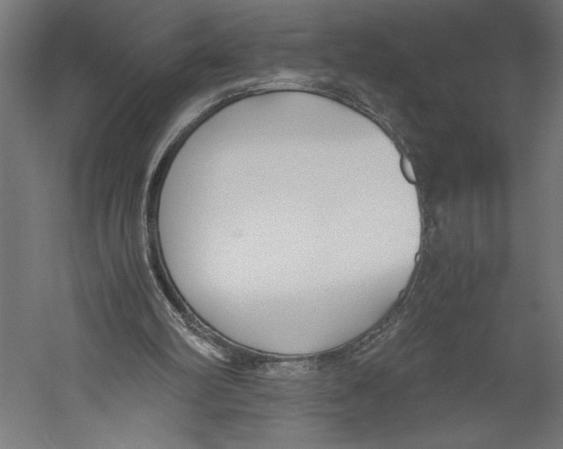 X0000060230102200511241317