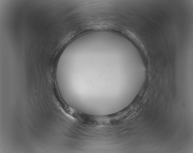 X0000060230105200511241317