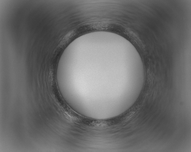 X0000060230113200511241317