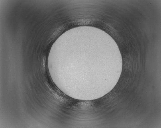 X0000060230118200511241317
