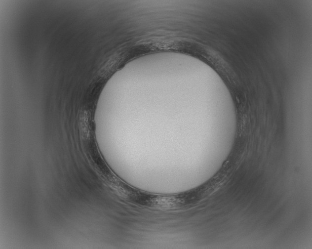 X0000060230121200511241317