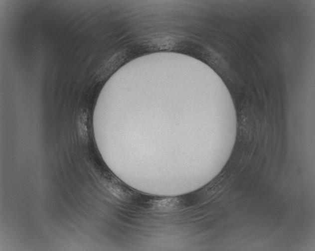 X0000060230122200511241317