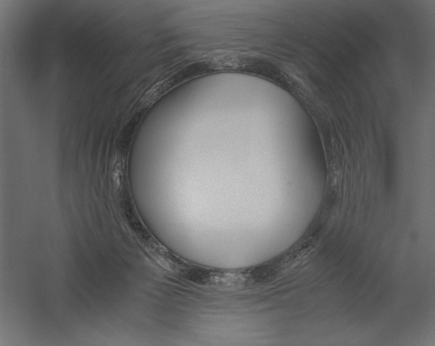 X0000060230125200511241317