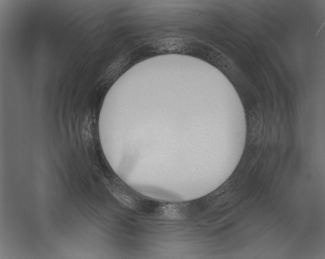 X0000060230126200511241317