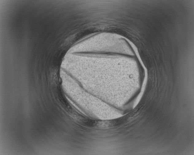 X0000060230127200511241317