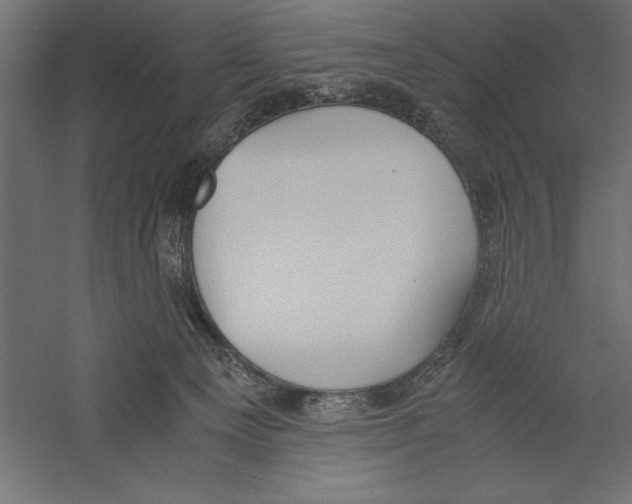 X0000060230129200511241317