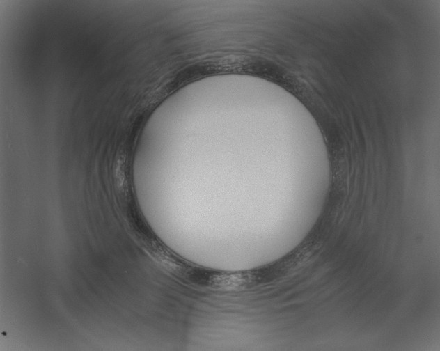 X0000060230131200511241317