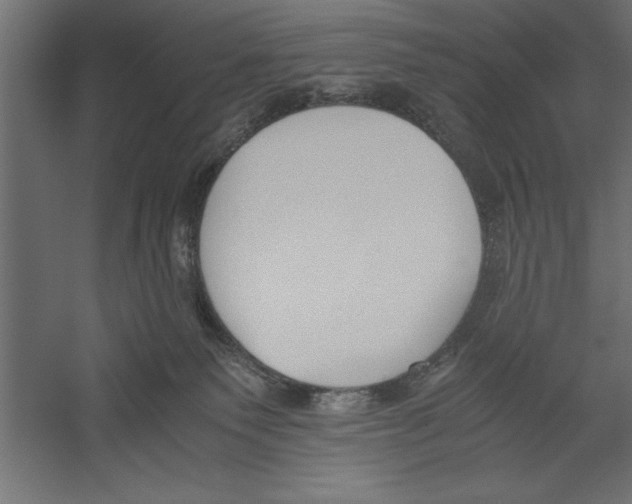X0000060230135200511241317